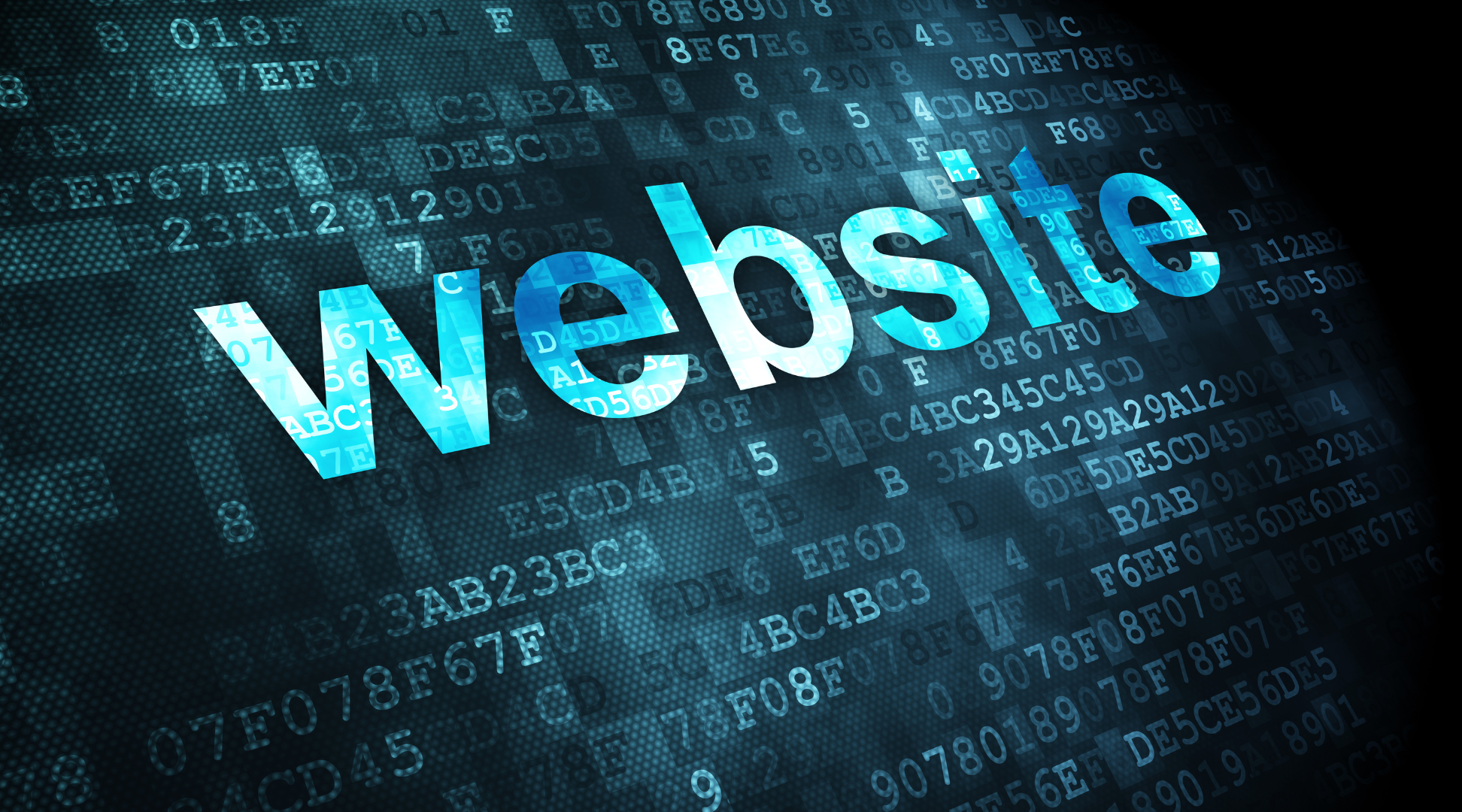 Website design & development